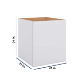 Modernform Cabinet Matte White 21" W X 24" H X 21" D Vanity Floating Full Height Single Door Cabinet