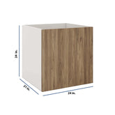 Modernform Cabinet Walnut 24" W X 24" H X 21" D Vanity Floating Full Height Single Door Cabinet