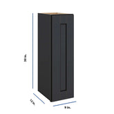 Modernform Cabinet Onyx Black Shaker 09" W X 30" H X 12" D Single Door Wall Cabinet