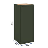 Modernform Cabinet Slim Sage Green 12" W X 30" H X 12" D Single Door Wall Cabinet