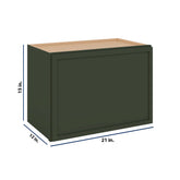 Modernform Cabinet Slim Sage Green 21" W X 15" H X 12" D Single Door Wall Cabinet