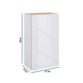 Modernform Cabinet Gloss White 21" W X 36" H X 12" D Single Door Wall Cabinet