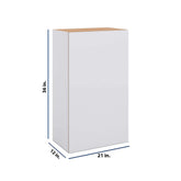 Modernform Cabinet Matte White 21" W X 36" H X 12" D Single Door Wall Cabinet