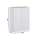 Modernform Cabinet Matte White 24" W X 30" H X 12" D Double Door Wall Cabinet