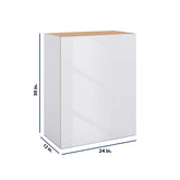 Modernform Cabinet Gloss White 24" W X 30" H X 12" D Single Door Wall Cabinet