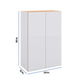 Modernform Cabinet Matte White 24" W X 36" H X 12" D Double Door Wall Cabinet
