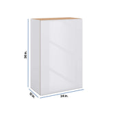 Modernform Cabinet Gloss White 24" W X 36" H X 12" D Single Door Wall Cabinet