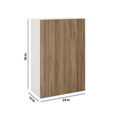 Modernform Cabinet Walnut 24" W X 36" H X 12" D Single Door Wall Cabinet