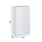 Modernform Cabinet Gloss White 24" W X 42" H X 12" D Single Door Wall Cabinet