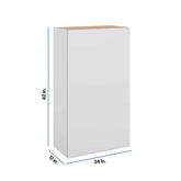 Modernform Cabinet Matte White 24" W X 42" H X 12" D Single Door Wall Cabinet