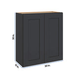 Modernform Cabinet Onyx Black Shaker 30" W X 30" H X 12" D Double Door Wall Cabinet