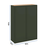 Modernform Cabinet Slim Sage Green 30" W X 42" H X 12" D Double Door Wall Cabinet