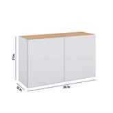 Modernform Cabinet Matte White 36" W X 21" H X 12" D Double Door Wall Cabinet
