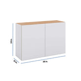 Modernform Cabinet Matte White 36" W X 24" H X 12" D Double Door Wall Cabinet