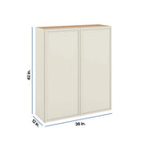 Modernform Cabinet Slim Dove White 36" W X 42" H X 12" D Double Door Wall Cabinet