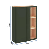 Modernform Cabinet Slim Sage Green 30" W X 42" H X 12" D Single Door Blind Corner Wall Cabinet