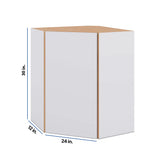 Modernform Cabinet Matte White 24" W X 30" H X 12" D Wall Diagonal Corner Cabinet