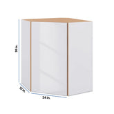 Modernform Cabinet Gloss White 24" W X 30" H X 12" D Wall Diagonal Corner Cabinet
