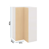 Modernform Cabinet Natural Oak 24" W X 42" H X 12" D Wall Easy Reach Cabinet