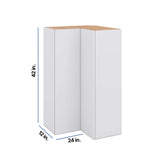 Modernform Cabinet Matte White 24" W X 42" H X 12" D Wall Easy Reach Cabinet