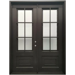 6/0x8/0 6 Lite Double Wrought Iron Prehung Front Door