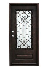 36 in x 80 in Dallas Exterior Wrought Iron Door