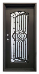 36 in x 80 in Lotus Exterior Wrought Iron Door