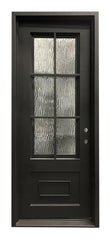 36 in x 96 in 6 Lite Exterior Wrought Iron Door