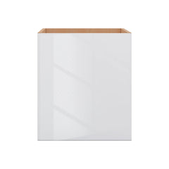 Modernform Cabinet Gloss White 21" W X 24" H X 21" D Vanity Floating Full Height Single Door Cabinet