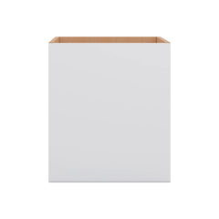 Modernform Cabinet Matte White 21" W X 24" H X 21" D Vanity Floating Full Height Single Door Cabinet