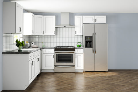10 X 10 Fabuwood Galaxy Frost Kitchen