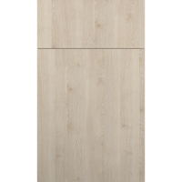 Fabuwood Illume Catalina Ida 1 Door Sample