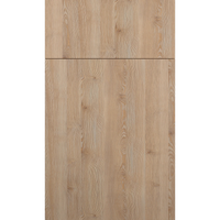Fabuwood Illume Catalina Ida 2 Door Sample