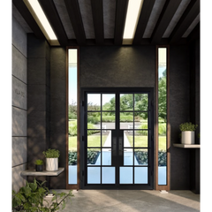 6/0x8/0 10 Lite French Exterior Wrought Iron Prehung Door