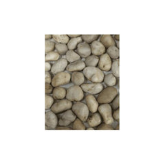 MSI White Polished Pebble Mesh-Mounted Mosaic Tile 12 in x 12 in