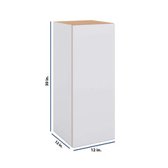 Modernform Cabinet Matte White 12" W X 30" H X 12" D Single Door Wall Cabinet
