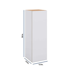 Modernform Cabinet Matte White 12" W X 36" H X 12" D Single Door Wall Cabinet