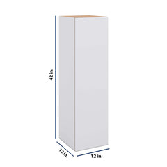 Modernform Cabinet Matte White 12" W X 42" H X 12" D Single Door Wall Cabinet
