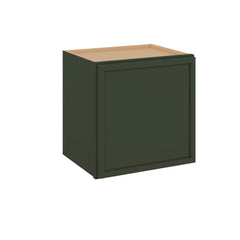 Modernform Cabinet Slim Sage Green 15" W X 15" H X 12" D Single Door Wall Cabinet
