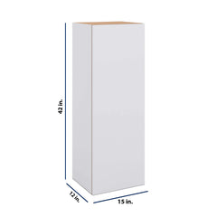 Modernform Cabinet Matte White 15" W X 42" H X 12" D Single Door Wall Cabinet