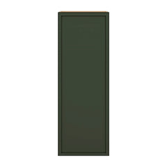 Modernform Cabinet Slim Sage Green 15" W X 42" H X 12" D Single Door Wall Cabinet