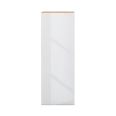 Modernform Cabinet Gloss White 15" W X 42" H X 12" D Single Door Wall Cabinet