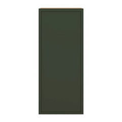 Modernform Cabinet Slim Sage Green 18" W X 42" H X 12" D Single Door Wall Cabinet