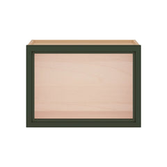 Modernform Cabinet Slim Sage Green 21" W X 15" H X 12" D Single Glass Door Wall Cabinet