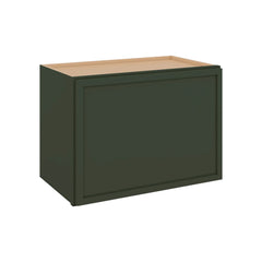 Modernform Cabinet Slim Sage Green 21" W X 15" H X 12" D Single Door Wall Cabinet