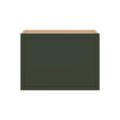 Modernform Cabinet Slim Sage Green 21" W X 15" H X 12" D Single Door Wall Cabinet
