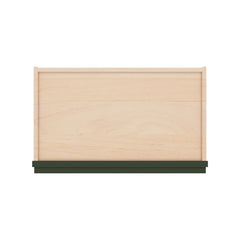 Modernform Cabinet Slim Sage Green 21" W X 15" H X 12" D Single Door Wall Cabinet