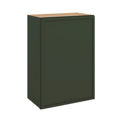 Modernform Cabinet Slim Sage Green 21" W X 30" H X 12" D  Single Door Wall Cabinet