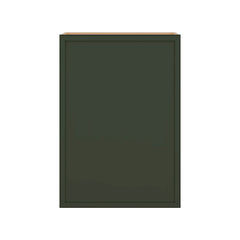 Modernform Cabinet Slim Sage Green 21" W X 30" H X 12" D  Single Door Wall Cabinet