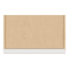 J&K Pure B5 Single Door Wall Cabinet - 21" W x 30" H